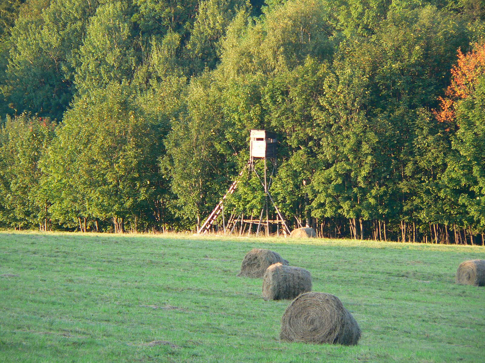 P1030205.JPG